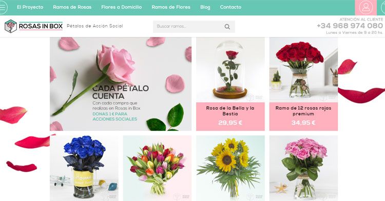 Rosas in Box