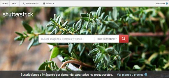 Shutterstock