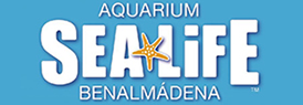 Sea Life